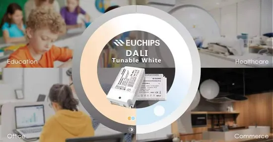Euchips 10/12/15/20/30/45/60W Constant Current Triac Lighting Dimmable LED Driver 
